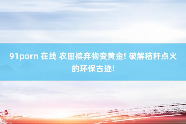 91porn 在线 农田摈弃物变黄金! 破解秸秆点火的环保古迹!