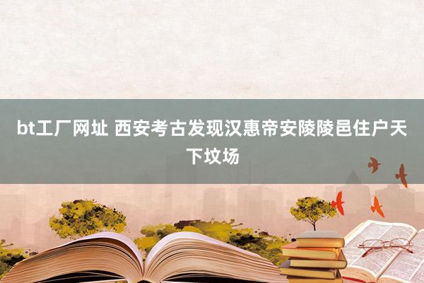 bt工厂网址 西安考古发现汉惠帝安陵陵邑住户天下坟场