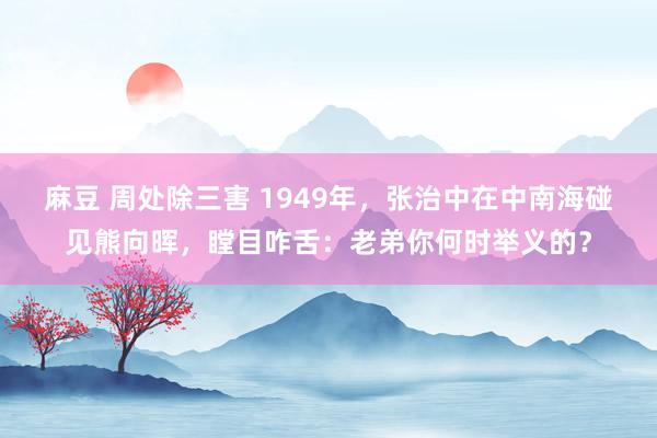 麻豆 周处除三害 1949年，张治中在中南海碰见熊向晖，瞠目咋舌：老弟你何时举义的？