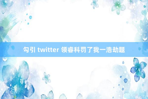 勾引 twitter 领睿科罚了我一浩劫题