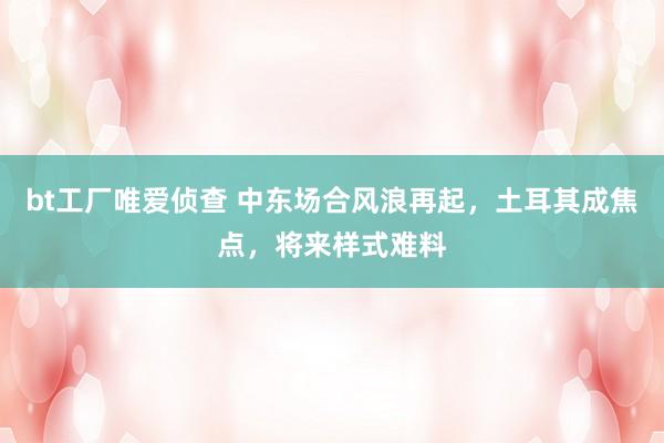 bt工厂唯爱侦查 中东场合风浪再起，土耳其成焦点，将来样式难料