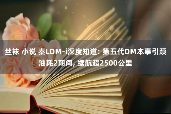 丝袜 小说 秦LDM-i深度知道: 第五代DM本事引颈油耗2期间， 续航超2500公里