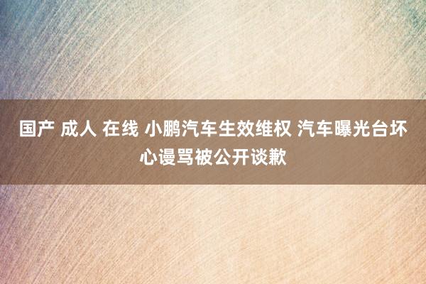 国产 成人 在线 小鹏汽车生效维权 汽车曝光台坏心谩骂被公开谈歉