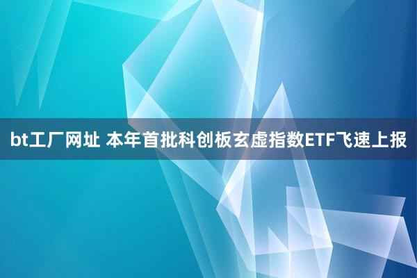 bt工厂网址 本年首批科创板玄虚指数ETF飞速上报