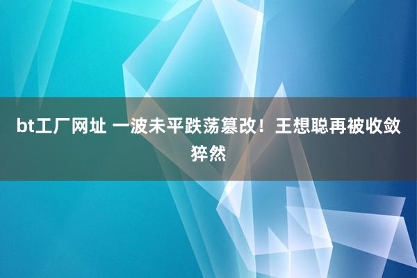 bt工厂网址 一波未平跌荡篡改!王想聪再被收敛猝然