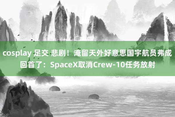 cosplay 足交 悲剧！淹留天外好意思国宇航员弗成回首了：SpaceX取消Crew-10任务放射