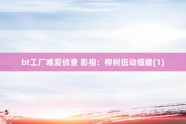 bt工厂唯爱侦查 影相：柳树扭动细腰(1)
