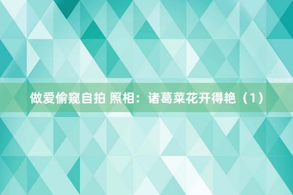 做爱偷窥自拍 照相：诸葛菜花开得艳（1）