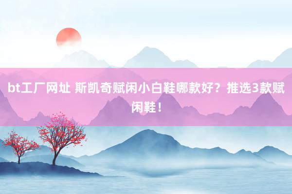bt工厂网址 斯凯奇赋闲小白鞋哪款好？推选3款赋闲鞋！