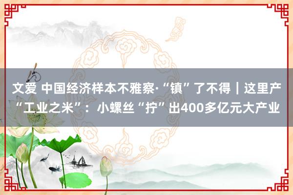 文爱 中国经济样本不雅察·“镇”了不得｜这里产“工业之米”：小螺丝“拧”出400多亿元大产业