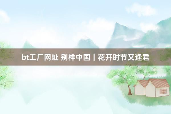 bt工厂网址 别样中国｜花开时节又逢君