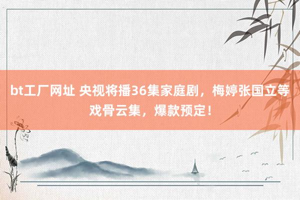 bt工厂网址 央视将播36集家庭剧，梅婷张国立等戏骨云集，爆款预定！
