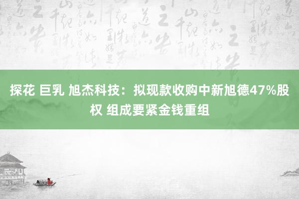 探花 巨乳 旭杰科技：拟现款收购中新旭德47%股权 组成要紧金钱重组
