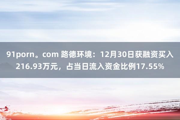 91porn。com 路德环境：12月30日获融资买入216.93万元，占当日流入资金比例17.55%