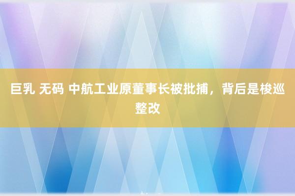 巨乳 无码 中航工业原董事长被批捕，背后是梭巡整改