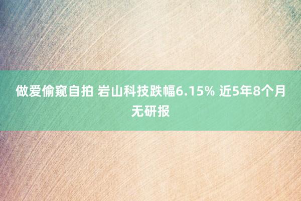 做爱偷窥自拍 岩山科技跌幅6.15% 近5年8个月无研报