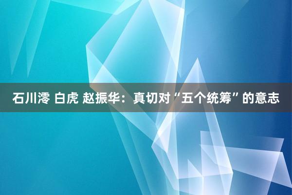石川澪 白虎 赵振华：真切对“五个统筹”的意志