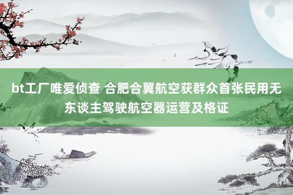 bt工厂唯爱侦查 合肥合翼航空获群众首张民用无东谈主驾驶航空器运营及格证