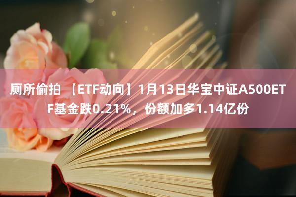 厕所偷拍 【ETF动向】1月13日华宝中证A500ETF基金跌0.21%,份额加多1.14亿份