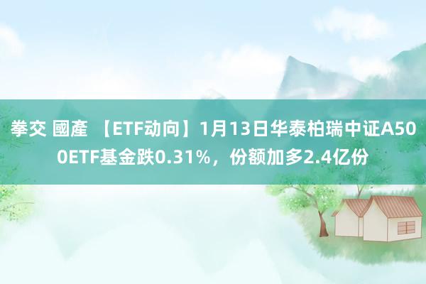 拳交 國產 【ETF动向】1月13日华泰柏瑞中证A500ETF基金跌0.31%，份额加多2.4亿份