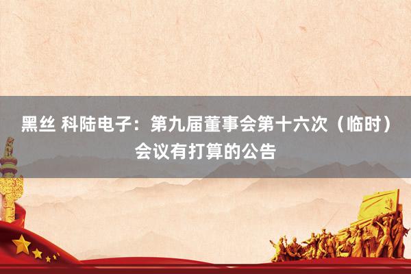 黑丝 科陆电子：第九届董事会第十六次（临时）会议有打算的公告