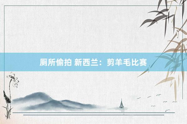 厕所偷拍 新西兰：剪羊毛比赛