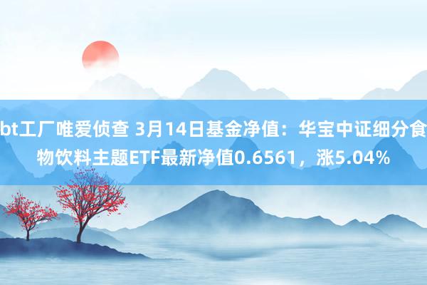 bt工厂唯爱侦查 3月14日基金净值：华宝中证细分食物饮料主题ETF最新净值0.6561，涨5.04%