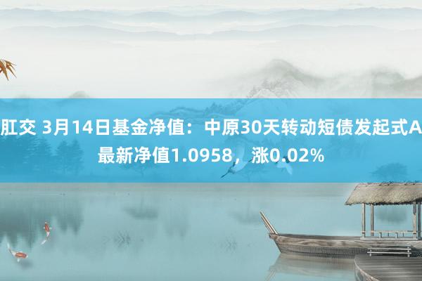 肛交 3月14日基金净值：中原30天转动短债发起式A最新净值1.0958，涨0.02%