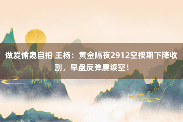 做爱偷窥自拍 王杨：黄金隔夜2912空按期下降收割，早盘反弹赓续空！