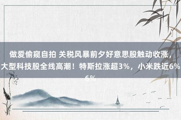 做爱偷窥自拍 关税风暴前夕好意思股触动收涨，大型科技股全线高潮！特斯拉涨超3%，小米跌近6%