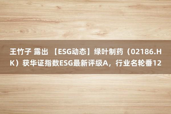 王竹子 露出 【ESG动态】绿叶制药（02186.HK）获华证指数ESG最新评级A，行业名轮番12