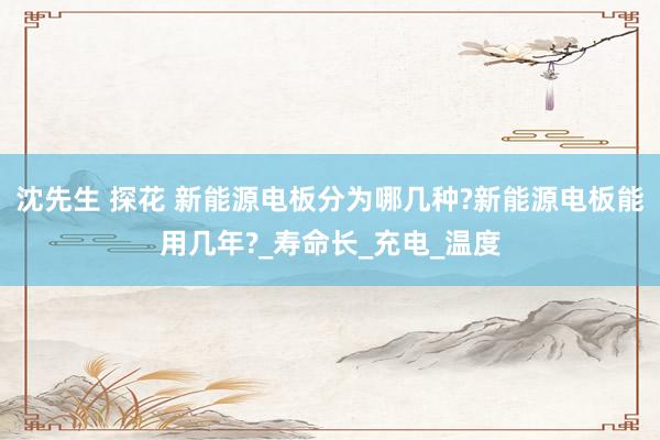 沈先生 探花 新能源电板分为哪几种?新能源电板能用几年?_寿命长_充电_温度