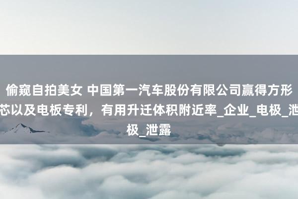 偷窥自拍美女 中国第一汽车股份有限公司赢得方形电芯以及电板专利，有用升迁体积附近率_企业_电极_泄露