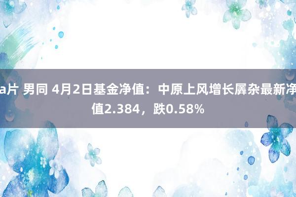 a片 男同 4月2日基金净值：中原上风增长羼杂最新净值2.384，跌0.58%