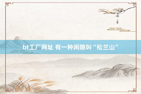 bt工厂网址 有一种闲隙叫“松兰山”