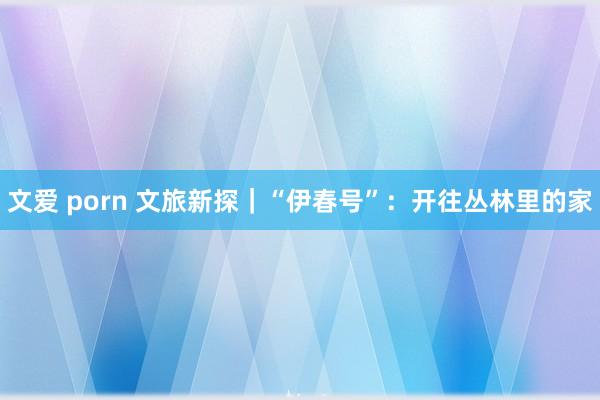 文爱 porn 文旅新探｜“伊春号”：开往丛林里的家