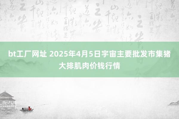 bt工厂网址 2025年4月5日宇宙主要批发市集猪大排肌肉价钱行情