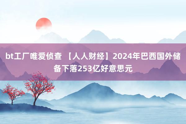 bt工厂唯爱侦查 【人人财经】2024年巴西国外储备下落253亿好意思元
