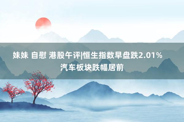妹妹 自慰 港股午评|恒生指数早盘跌2.01%    汽车板块跌幅居前