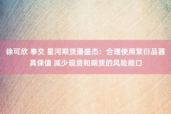 徐可欣 拳交 星河期货潘盛杰：合理使用繁衍品器具保值 减少现货和期货的风险敞口