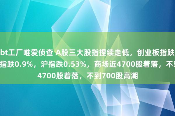 bt工厂唯爱侦查 A股三大股指捏续走低，创业板指跌1%，深证成指跌0.9%，沪指跌0.53%，商场近4700股着落，不到700股高潮