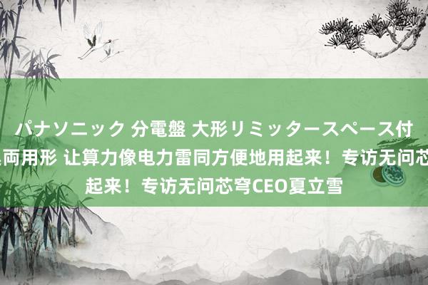 パナソニック 分電盤 大形リミッタースペース付 露出・半埋込両用形 让算力像电力雷同方便地用起来！专访无问芯穹CEO夏立雪
