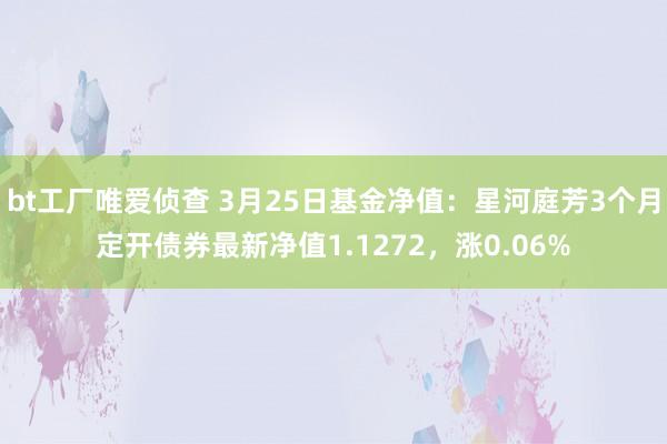 bt工厂唯爱侦查 3月25日基金净值：星河庭芳3个月定开债券最新净值1.1272，涨0.06%