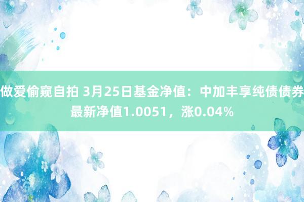 做爱偷窥自拍 3月25日基金净值：中加丰享纯债债券最新净值1.0051，涨0.04%