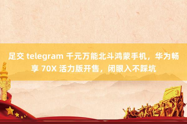 足交 telegram 千元万能北斗鸿蒙手机，华为畅享 70X 活力版开售，闭眼入不踩坑