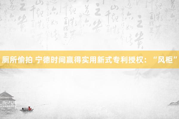 厕所偷拍 宁德时间赢得实用新式专利授权：“风柜”