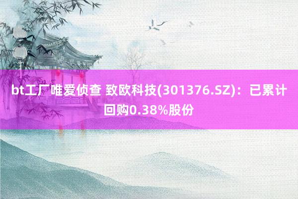 bt工厂唯爱侦查 致欧科技(301376.SZ)：已累计回购0.38%股份