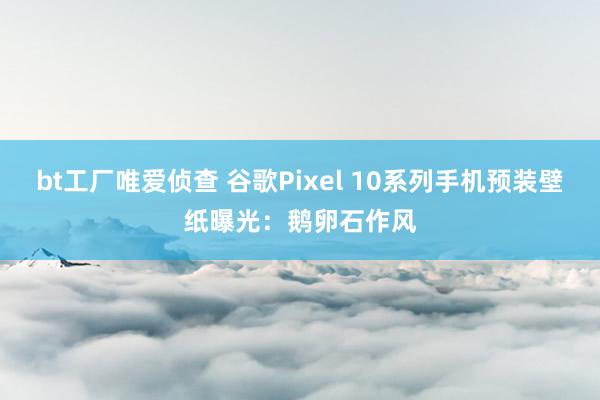bt工厂唯爱侦查 谷歌Pixel 10系列手机预装壁纸曝光：鹅卵石作风