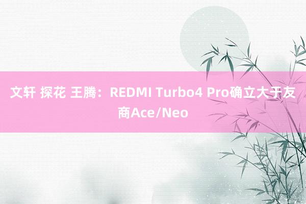 文轩 探花 王腾：REDMI Turbo4 Pro确立大于友商Ace/Neo