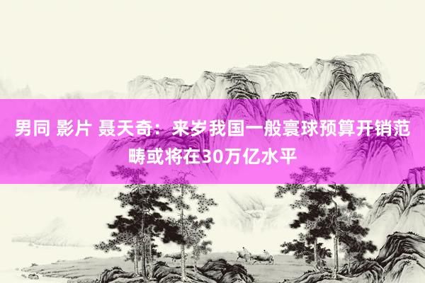 男同 影片 聂天奇：来岁我国一般寰球预算开销范畴或将在30万亿水平